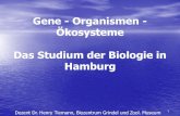 Gene - Organismen - Ökosysteme Das Studium der Biologie in ... … · Technische Universität Hamburg-Harburg TUHH Studiengang: Biotechnologie-Verfahrenstechnik Abschluß: Diplom