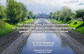 Dr. Jochen Stemplewski - FLUSSGEBIETE NRW · 11.12.2007  · Eckpunkte für den Fortgang des Emscherumbaus Vorschlag: Gesamtbudget für den Emscherumbau: 4,4 Mrd. € Fertigstellung