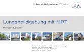 Lungenbildgebung mit MRT - DRG€¦ · Institut für Diagnostische und Interventionelle Radiologie Direktor: Prof. Dr. Thorsten Bley Lungenbildgebung mit MRT Herbert Köstler Institut