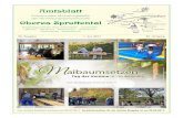Amtsblatt - Nöbdenitznoebdenitz.de/wp-content/uploads/2016/02/AB_2017_06.pdf · Beschluss Nr. 316–74/2017: Dem Bauantrag der Agrar-genossenschaft Thonhausen zur Rekonstruktion