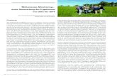 Mähwiesen-Monitoring – erste Auswertung der Ergebnisse von ...2-20… · Mähwiesen-Monitoring – erste Auswertung der Ergebnisse von 2012 bis 2014 Text: Thomas Breunig, Reinhold