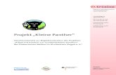 Projekt „Kleine Panther“ - Institut Suchtforschung€¦ · Projekt „Kleine Panther“ Abschlussbericht zur Begleitevaluation des Projektes „Arbeit mit Kindern aus suchtbelasteten