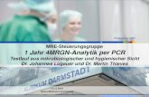 MRE-Steuerungsgruppe 1 Jahr 4MRGN-Analytik per PCR€¦ · • Alle Pat. mit Verlegung aus ‚internationalen Krankenhäusern‘ (unabhängig vom Land) sind zu screenen und bis zum