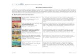 Buchempfehlungen 6. Religiöse Kinderbüchercms.familienorientierung.at/wp-content/uploads/2018/05/Handout... · Autor: Max Lucado Verlag: D & D Medien Carolus, Alon und Cassidon