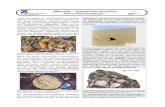 „Meteorite – spektakuläre Bausteine Westfälische Wilhelms ... · Gesteinsscheibe des Mondmeteoriten Dhofar 081, der in der Arabischen Wüste Omans gefunden wurde. Die hellen