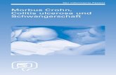 Morbus Crohn, Colitis ulcerosa und Schwangerschaft · Einleitung 4 Die chronisch entzündlichen Darmerkrankungen (CED) Morbus Crohn und Colitis ulcerosa treten gehäuft im jüngeren