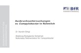 Ausbruchsuntersuchungen zu Campylobacter in Rohmilch ... · Das Überleben von Campylobacter in Rohmilch scheint unterschätzt • Variation der Inkubationsbedingungen auf mCCDA beste