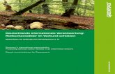 Deutschlands internationale Verantwortung: Rotbuchenwälder ...€¦ · Germany's international responsibility: Protecting German beech forests in an interlinked network Report commissioned