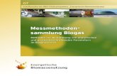 Messmethoden- sammlung Biogas · Kommentar [HK2]: Zeile zum einfügen Methankonzentration im Biogas [m³ / m³] in Word (PDF) γ̇ Scherrate [1/s] γ̇* Schergeschwindigkeit nach