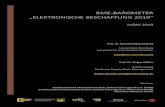 BME BAROMETER „ELEKTRONISCHE BESCHAFFUNG · PDF file Prof. Dr. Ronald Bogaschewsky BME‐Barometer „Elektronische Beschaffung 2019“ Der Lehrstuhl für Industriebetriebslehre