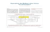 Dokument1 - xn--tierrzte-duisburg-mlheim-tbc35d.deärzte-duisburg-mülheim.de/files/userfiles... · Gerstenkömer Oder Hordeolum) handeln, die bei Entzündung der Drüsen entste-