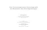 Das Tumorsuppressor-Homologe p63 als Modulator des Wnt ...archiv.ub.uni-marburg.de/diss/z2006/0789/pdf/dcm.pdf · EEC Ectrodactyly, Ectodermal dysplasia, Clefting . VI Abkürzungsverzeichnis