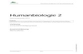 Humanbiologie 2 - meister.ithealth.meister.it/wp-content/uploads/2014/08/Humanbiologie-2.pdf · Langfristiges System: Kontrolle der Konstanz der Energiezufuhr (dh. der Fettmasse)