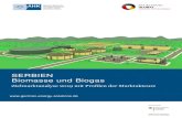 SERBIEN Biomasse und Biogas - energiewaechter GmbH · TE – Termoelektrana (Serbisch), Übersetzung: Kohlekraftwerk TZ – Technische Zusammenarbeit UN – Vereinte Nationen UNDP