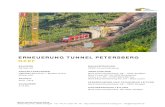 Erneuerung Tunnel Petersberg - Marti GmbH Referenzen/Erneuerun¢  ERNEUERUNG TUNNEL PETERSBERG NEEF BAUHERR