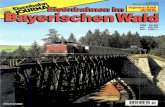 DM - shop.vgbahn.info · bayerisch-böhmischen Grenze hin den Nordrand des Bayerischen Waldes mit dem Anschluß an die Böhmische Westbahn nach Pilsen. Der Schienenstrang wurde hier
