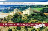 Priesterseminar · 4 Übers Brüggele 2012 L Priesterseminar Brixen auch in diesem Jahr freuen wir uns, Ihnen mittels unserer Seminar-zeitschrift begegnen zu können. Unsere Seminargemeinschaft