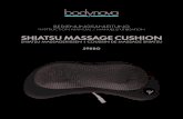 Bedienungsanleitung 598BG 2016 1201 - BODYNOVA€¦ · • The Shiatsu Massage Cushion 598BG has a built in automatic shut off and shuts down, after 15 min of use. • after approximately