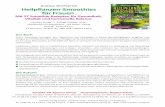 Andrea Wichterich Heilpflanzen-Smoothies für Frauen€¦ · Grüne Smoothies versorgen den Organismus mit Vitalstoffen in bester Bio-Verfügbarkeit, entgiften und reinigen ihn mithilfe