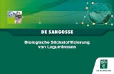 Biologische Stickstofffixierung von Leguminosen · DE SANGOSSE PRÄSENTATION Biologische Stickstofffixierung Voraussetzung für eine optimale biologische Stickstofffixierung (BSF)