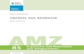 EnErgiE auS BiomaSSE - hss.de€¦ · Argumente und Materialien zum Zeitgeschehen  85 Silke Franke (Hrsg.) EnErgiE auS BiomaSSE Ethik und Praxis