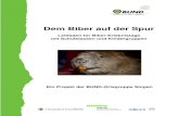 Dem Biber auf der Spur - BUND Baden-Württemberg€¦ · dieses faszinierende Tier kennenlernen und an den heimischen Gewässern auf Spuren-suche gehen! Wir danken der DUH (Deutsche