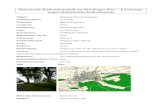 Historische Kulturlandschaft im Nördlinger Ries ... · Beschreibung: beschrieben unter Biotop-Nr. 7229-0017 (Magerrasen mit He-cken und Felsen um Mönchsdeggingen) Analyse: ... um
