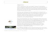 PDF-Datei Region Harz - RIDERS GUIDE€¦ · Tiefe, romantische Täler und dunkle, einsame Fichtenwälder, steile Felswände, sagenumwobene Figuren aus uraltem Granitfels, nebelverhangene
