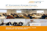 6th European Energy Forumwec-france.org/DocumentsPDF/rapports/Actes-2017.pdf · new players such as Sonnen-Batterie, Nest, Tesla, Qivicon or Innogy. In building efficiency, new players