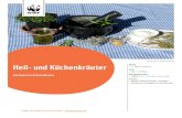 © Rita Ganz / WWF Schweiz Heil- und Küchenkräuter€¦ · Kräuter sind Küchenkräuter und Heilkräuter zugleich. Folglich können verschiedene wichtige Themen im Un-terricht