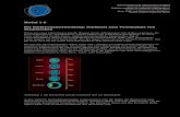 Modul 1-2 Die Embryonalentwicklung: Schlüssel zum ... · Page 3 of 7 Stammzellen und regenerative Medizin Nationales Forschungsprogramm NFP 63 Cellules souches et médecine régénérative