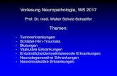 Themen - uniklinikum-saarland.de · Vorlesung Neuropathologie, WS 2017 Prof. Dr. med. Walter Schulz-Schaeffer Themen: - Tumorerkrankungen - Schädel-Hirn-Traumata - BlutungenMRI Case
