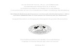 New Die klinische Bedeutung der Expression von Pancreatic …archiv.ub.uni-marburg.de/diss/z2011/0457/pdf/drr.pdf · 2011. 7. 11. · Abbildung 2 Gastrinom-Dreieck (Stabile BE 1984,