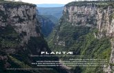 PLANTÆbioveg/downloads/plantae2_golden_master...2 PLANTÆ oN 2 Abril 2016 Imagen de portada: Panorámica del cañón ubicado en el parque nacional Aparados da Serra (Río Grande Do