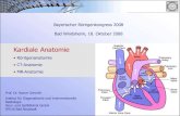 Kardiale Anatomie - Campus Bad Neustadt...• verläuft im Sulcus interventricularis anterior (zwischen RV und LV) zur Herzspitze (in 78% dominant, in 22% RIVP führend) • proximales,