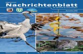AllgemeinesNachrichtenblatt für Geismar & Treuenhagen · 2016. 11. 4. · E-Mail: info@goettinger-digitaldruck.de Eine Entscheidung über Veröffentlichungen eingereichter Texte