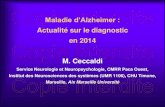 Actualité sur le diagnostic en 2014 M. Ceccaldi SAINT...Syndrome amnésique de type « temporal interne » Femme 77 ans Troubles cognitifs progressifs évoluant depuis 4 ans Examen