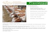 Praxisbladl · Praxisbladl Ausgabe Rind Jahrgang 1 - Ausgabe 1/2011 Inhaltsübersicht: Rinderfütterung: Zusammenfassung des Fütterungsseminars vom 16.2. mit Frau Dr. Mahlkow-Nerge