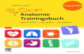 Anatomie Trainingsbuch · 2020. 6. 19. · KAPITEL 7 Bewegungsapparat Unschwer erkennbar sind die großen Unterschiede in Körpergröße, -bau und -gestalt unserer Mitmen- schen.