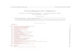 Grundlagen der Algebra - Goethe-Universität · 2018. 6. 28. · Grundlagen der Algebra Goethe–Universität Frankfurt — Sommersemester 2017 für Bachelor und L3 JAKOBSTIX ...