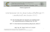 ˘˘˘ˇ - Justus-Liebig-Universität Gießen · Comprehensive Cancer Center Ulm 1 Erfahrungsbericht ˘˘˘ˇ Von der Problematik der Vielzahl von Insellösungen ... QM Handbuch: