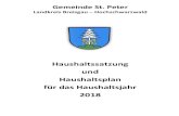 Landkreis Breisgau – Hochschwarzwald · 2018. 4. 22. · Gemeinde St. Peter Landkreis Breisgau – Hochschwarzwald Haushaltssatzung und Haushaltsplan für das Haushaltsjahr 2018