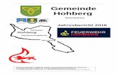 Gemeinde Hohberg · Jahresbericht 2016 Gemeinde Hohberg Ortenaukreis Zusammengestellt: Wolfgang Schilli, Feuerwehrkommandant der Gemeinde Hohberg, Oberlohrstraße. 13, 77749 Hohberg