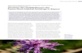 Situation der Gefäßpflanzen der Fauna-Flora-Habitat-Anhänge in … · 2020. 10. 15. · Fauna-Flora-Habitat-Anhänge in Bayern Insgesamt 18 Gefäßpflanzen-Arten der Anhänge II