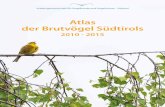 Atlas der Brutvögel Südtirols · schönen Bildband »Aus der Luft gegriffen – Atlas der Vo-gelwelt Südtirols« publiziert (Niederfriniger et al. 1996). Seit Abschluss der Erhebungen