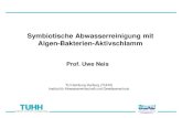 Symbiotische Abwasserreinigung mit Algen-Bakterien ... · Solar Radiation medium high low “Global Water and Sanitation Assessment 2000 Report”, WHO & UNICEF (2000) Symbiotische