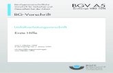 Berufsgenossenschaftliche Vorschrift f£¼r Sicherheit und BGV ...web. ... BGV A5 I. Geltungsbereich 1