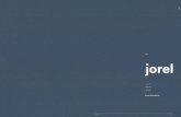 EDEL jorel · 2020. 2. 27. · VK 2020 VK 2020 jorel 14 – jorel jorel – 15 Farben und Materialien für Abdeckplatten und Griffvouten Echte Materialien – Beschreibung Edelstahl