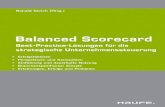 Ronald Gleich (Hrsg.) · 2016. 2. 29. · Balanced Scorecard –Measures That Drive Performance“ in der Harvard Business Review,spter folgten viele weitere Artikel und mehrere Bcher