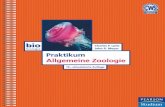 Praktikum - Allgemeine Zoologie - 15., akt. Aufl ...10.3 Phylum Nematoda ..... 10.3 17 5 10.3.1 Ascaris lumbricoides (der Spulwurm): Ein parasitärer Fadenwurm ..... 175 10.3.2 Trichinella
